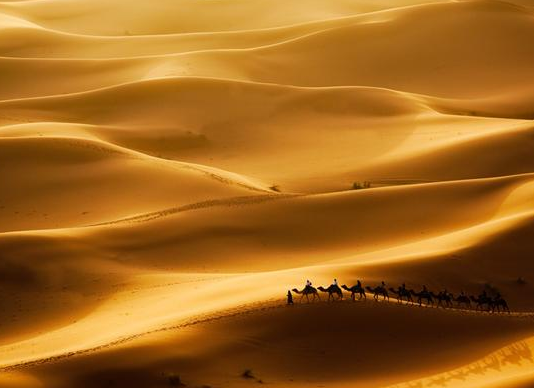 世界最大的沙漠