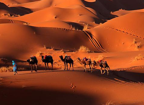 世界最大的沙漠
