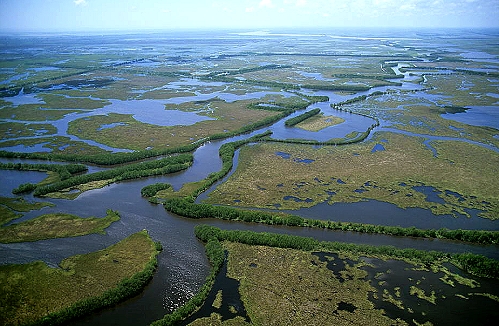 世界上最长的河