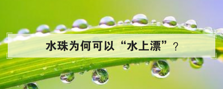 水珠为何可以水上漂