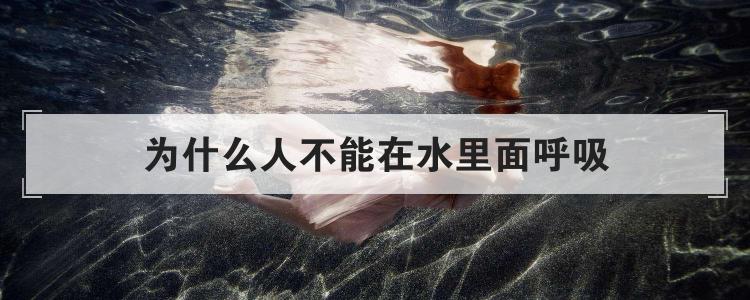 为什么人不能在水里面呼吸