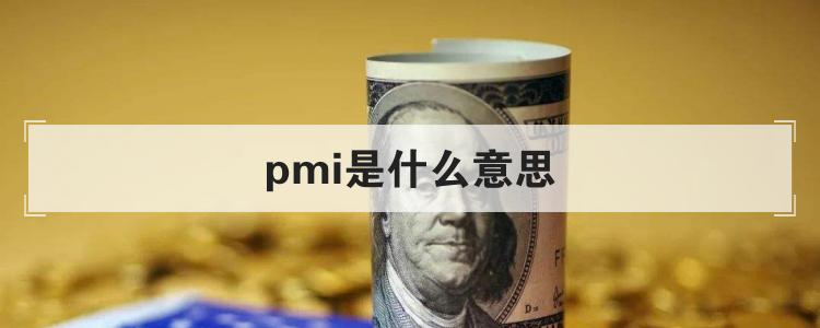 pmi是什么意思