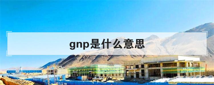 gnp是什么意思