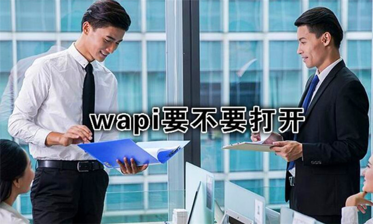 wapi是什么