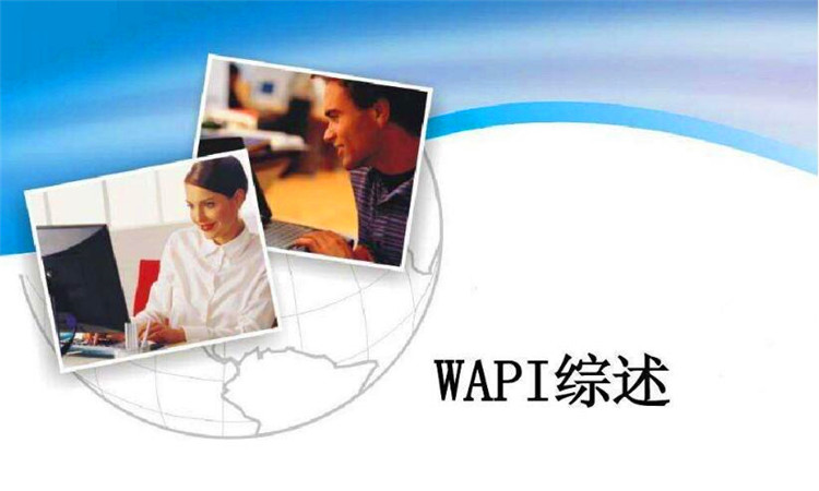 wapi是什么