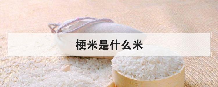 梗米是什么米