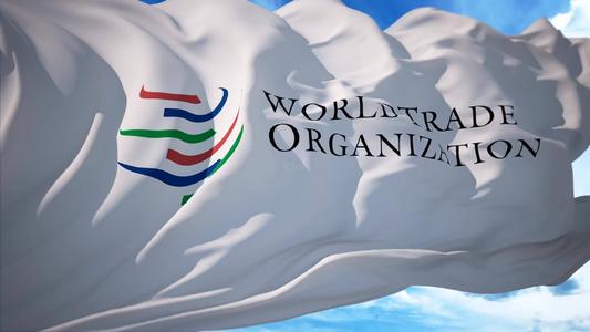 WTO中文是什么意思