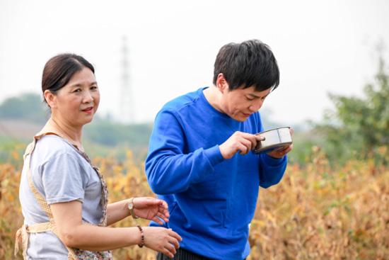 丈母娘与女婿是什么关系