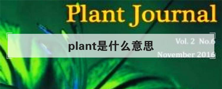 plant是什么意思