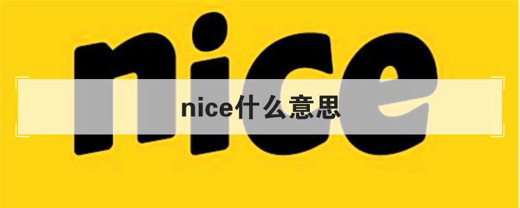 nice什么意思