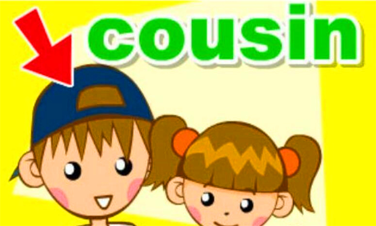 cousin是什么意思