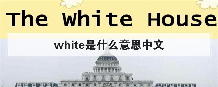 white是什么意思中文