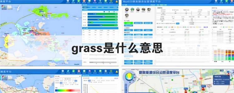 grass是什么意思