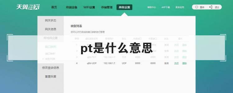 pt是什么意思