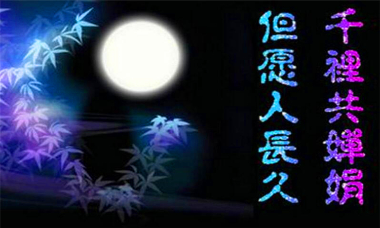 但愿人长久千里共婵娟是什么意思