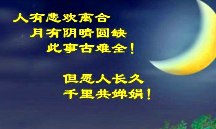 但愿人长久千里共婵娟是什么意思