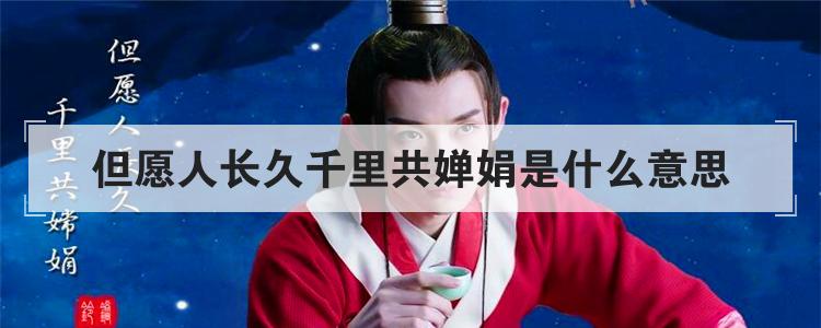 但愿人长久千里共婵娟是什么意思