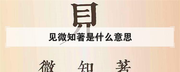 见微知著是什么意思