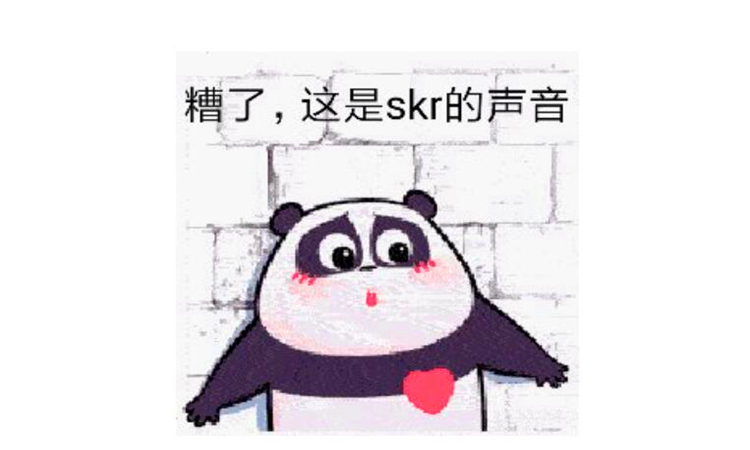 skr什么意思