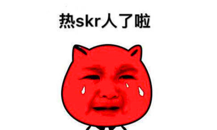 skr什么意思