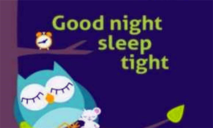 sleep是什么意思