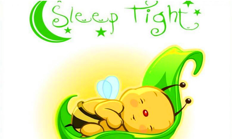 sleep是什么意思