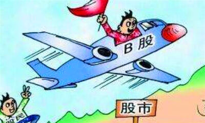 a股b股是什么意思