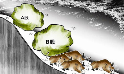 a股b股是什么意思