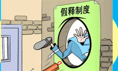假释是什么意思