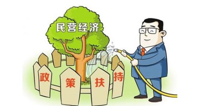 民营企业是什么意思