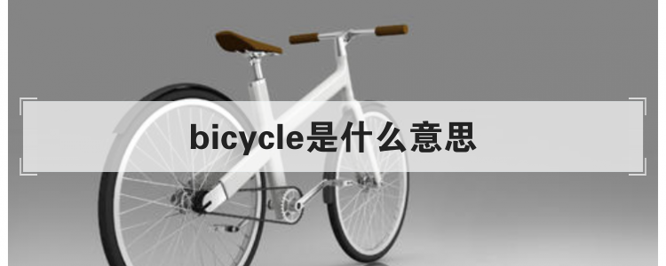 bicycle是什么意思