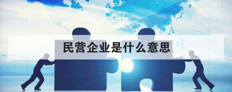民营企业是什么意思