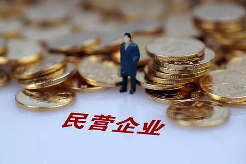 民营企业是什么意思