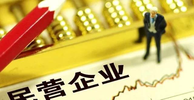 民营企业是什么意思