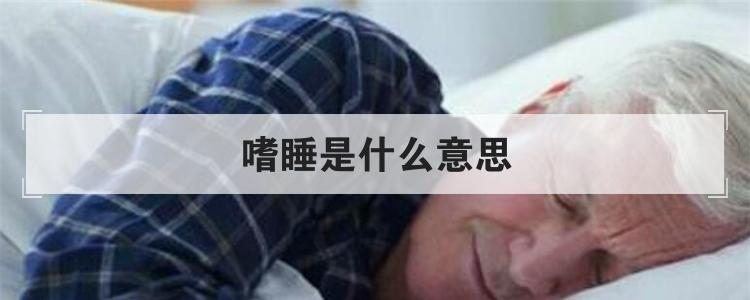 嗜睡是什么意思