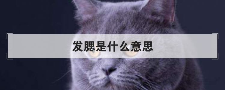 发腮是什么意思