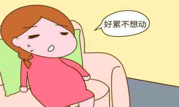 嗜睡是什么意思