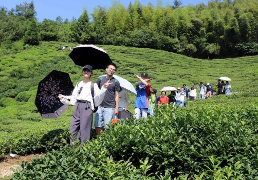 安逸什么意思