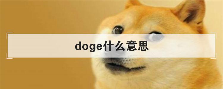 doge什么意思