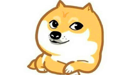 doge什么意思