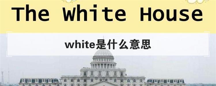 white是什么意思