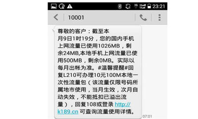 次月是什么意思