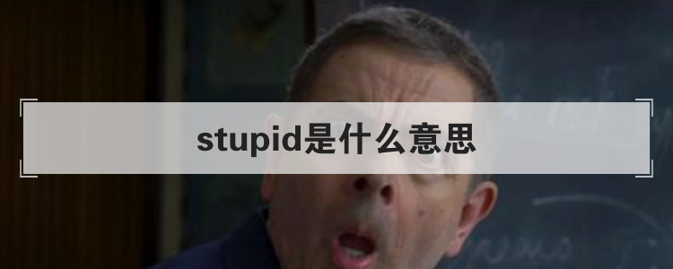 stupid是什么意思
