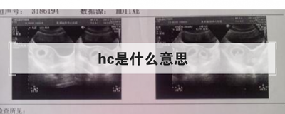 hc是什么意思