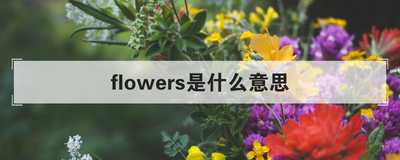 flowers是什么意思