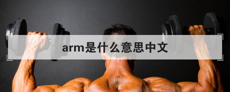 Arm是什么意思中文 酷知经验网