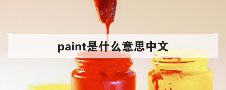 paint是什么意思中文
