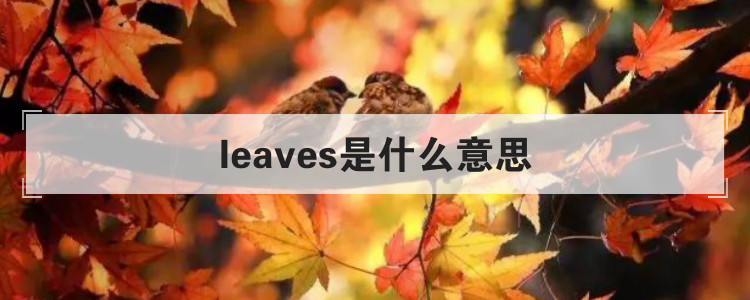 leaves是什么意思
