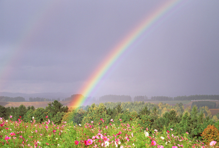 rainbow是什么意思