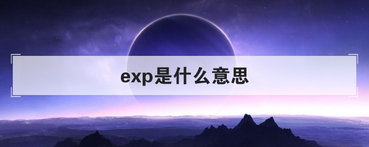 exp是什么意思